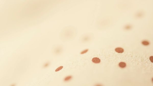 Traces de punaises de lit : astuces pour les identifier rapidement